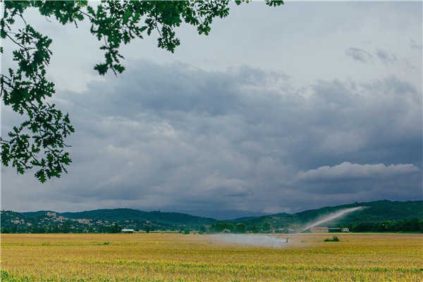 土壤水分溫度鹽分檢測(cè)儀 土壤水分溫度鹽分檢測(cè)儀